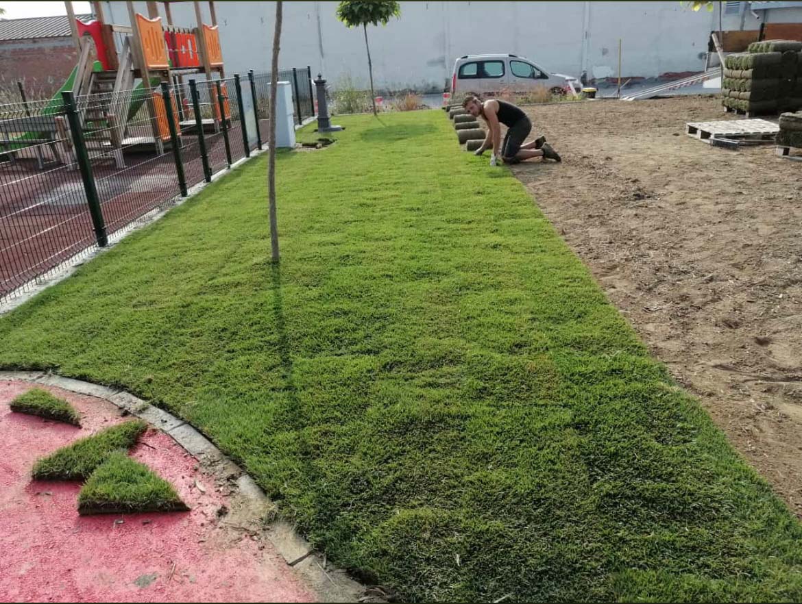 Realizzazione area verde comune con prato, piante e irrigazione