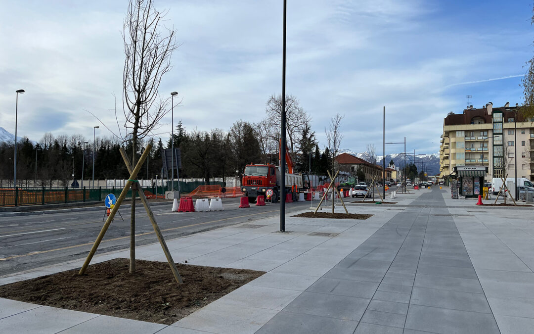 Piantumazione alberi in Corso Francia – Cuneo